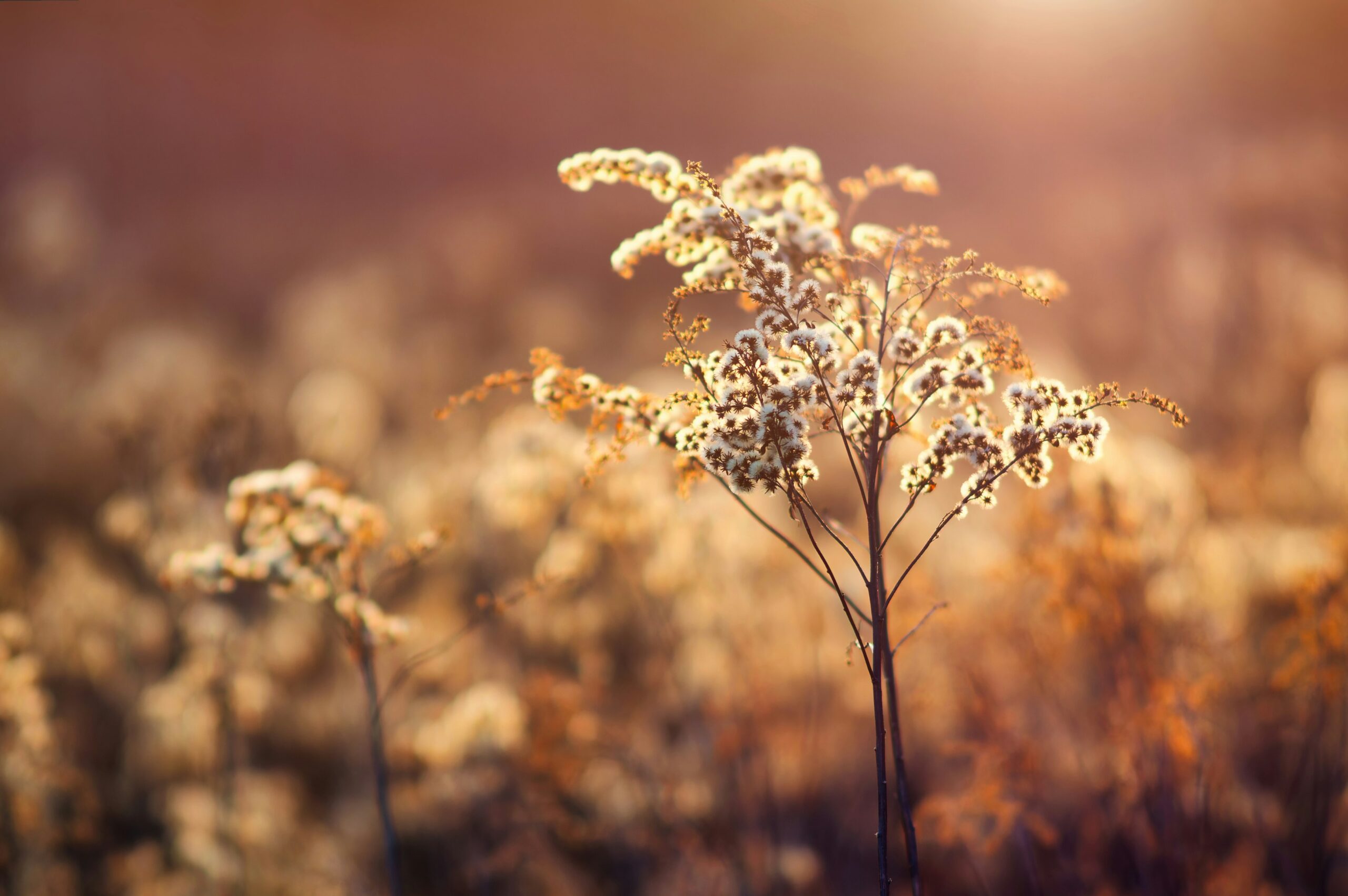 lukasz rawa mecqraait4y unsplash
